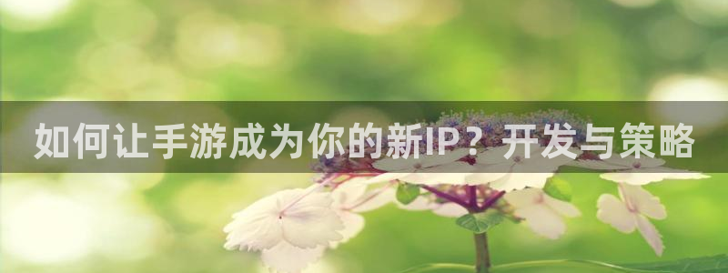 恒盛娱乐下载：如何让手游成为你的新IP？开发与策略