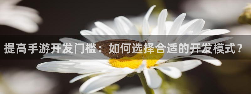 恒盛娱乐登陆：提高手游开发门槛：如何选择合适的开发模式？