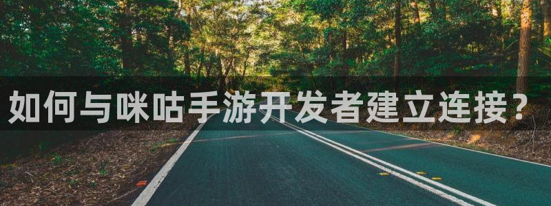 恒盛娱乐官网：如何与咪咕手游开发者建立连接？