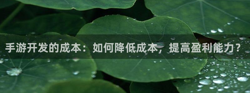 恒盛娱乐官网：手游开发的成本：如何降低成本，提高盈利能力？