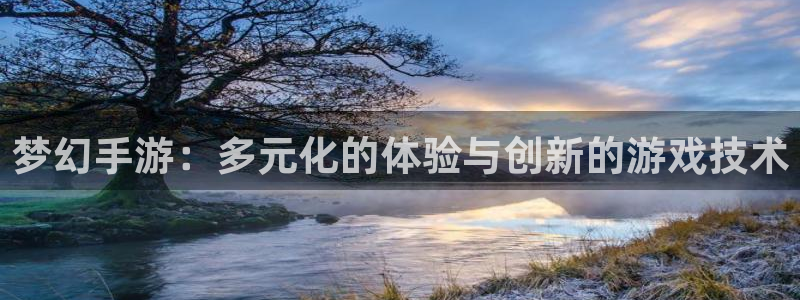 恒盛娱乐：梦幻手游：多元化的体验与创新的游戏技术