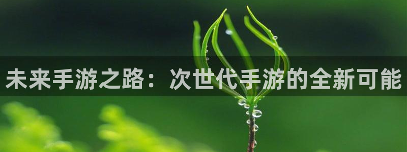 恒盛娱乐首页：未来手游之路：次世代手游的全新可能