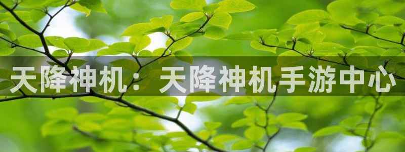 恒盛娱乐注册：天降神机：天降神机手游中心