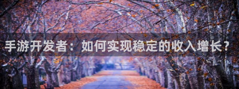 恒盛娱乐官网：手游开发者：如何实现稳定的收入增长？