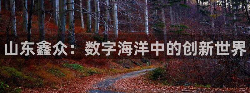 恒盛娱乐注册：山东鑫众：数字海洋中的创新世界