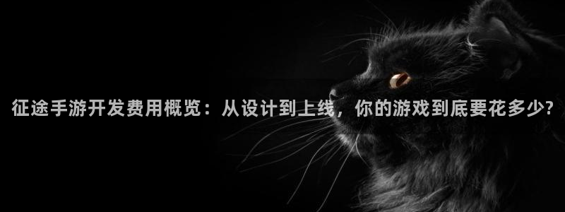 恒盛娱乐注册：征途手游开发费用概览：从设计到上线，你的游戏到