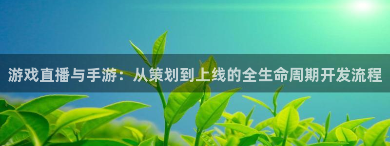 恒盛娱乐首页：游戏直播与手游：从策划到上线的全生命周期开发流