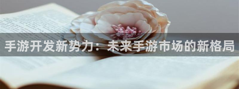 恒盛娱乐平台：手游开发新势力：未来手游市场的新格局