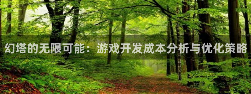 恒盛娱乐：幻塔的无限可能：游戏开发成本分析与优化策略